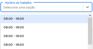 I1416 - Campo horários de trabalho - opções